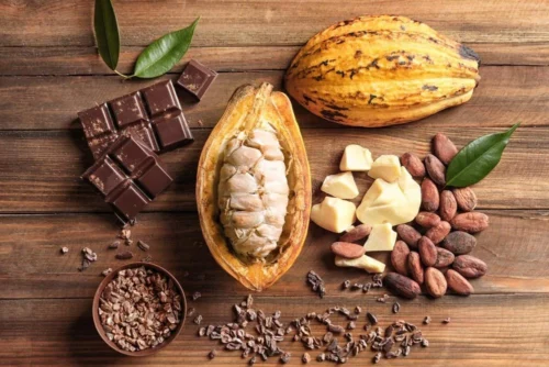 Cocoa Based
