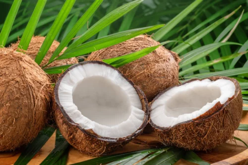 Coconut Based