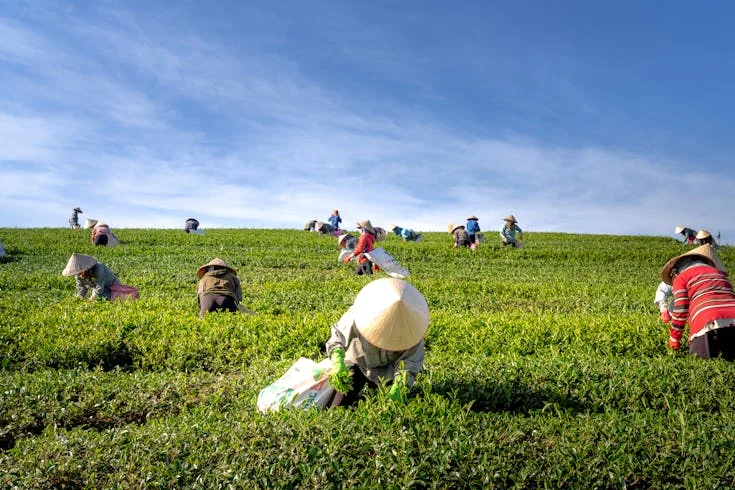 agriculture industry3