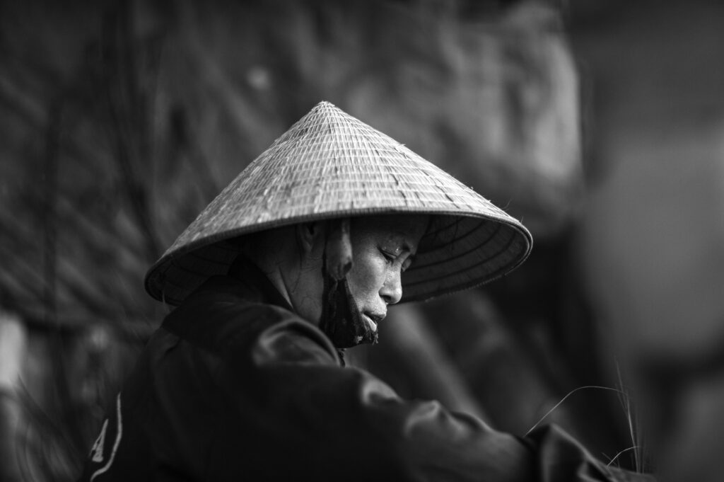 tuan phan vacbnsgfu6o unsplash