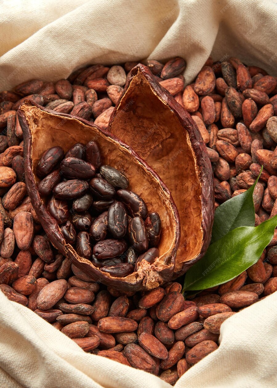 cocoa beans cocoa beans