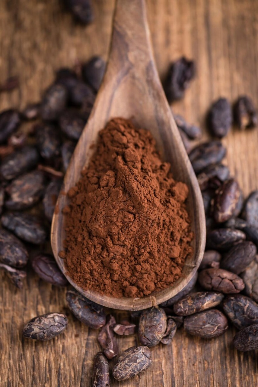 cocoa powder cocoa powder